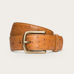 tecovas ostrich belt