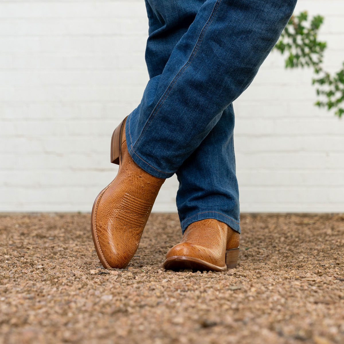 tecovas ostrich boots