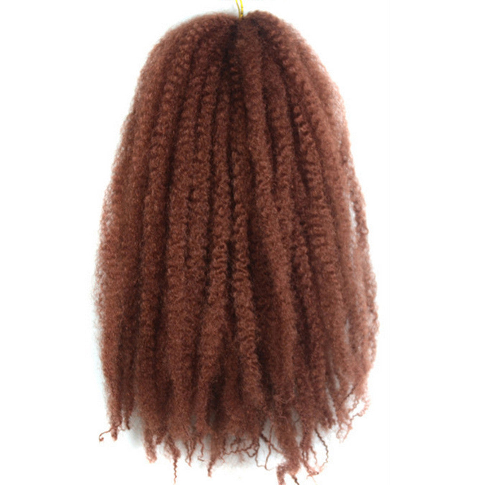 Caterpillar Wig Braid Fluffy Afro Hair Extension    350#