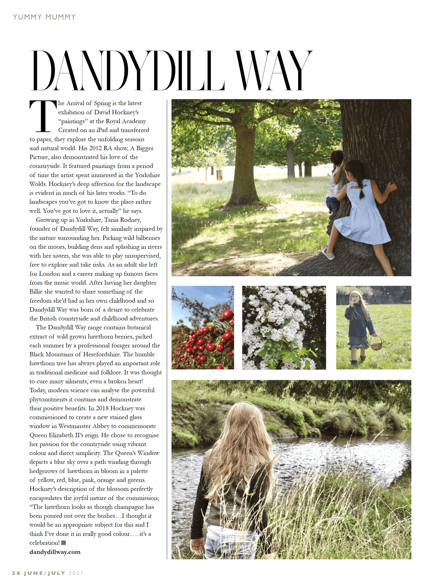 Dandydill Way and David Hockney both celebrate the British countryside and hawthorn 