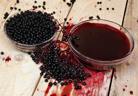 Camille Beckman Elderberry Syrup Blog