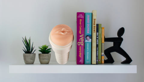 fleshlight-bookshelf