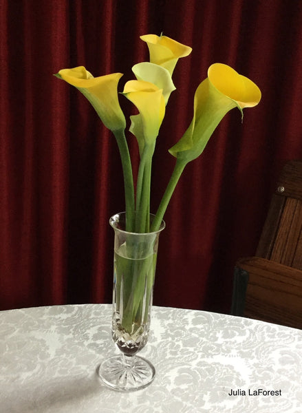 calla lilies from Julia's garden