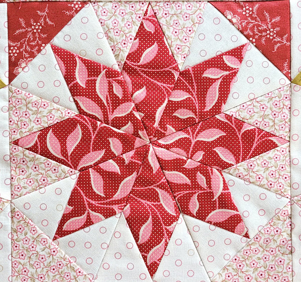 Sewing Alaska Quilt - Finish