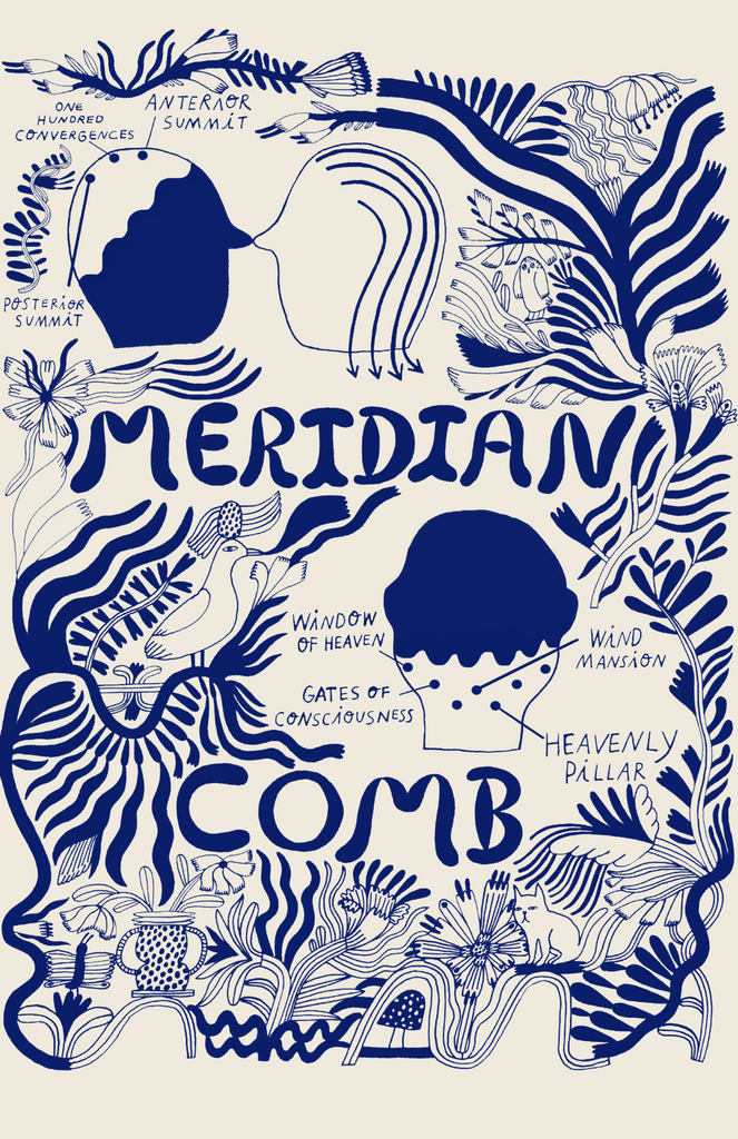 Meridian Comb Poster