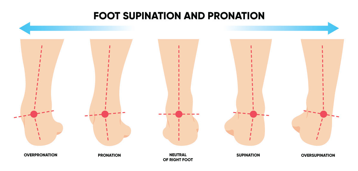 foot supination and pronation range