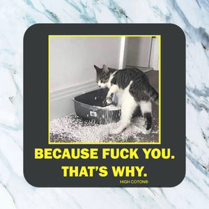 Because F*ck You. That's Why. | Coaster - Piglet's Closet