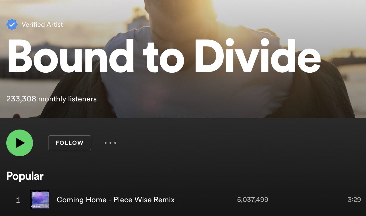 Bound to Divide Spotify