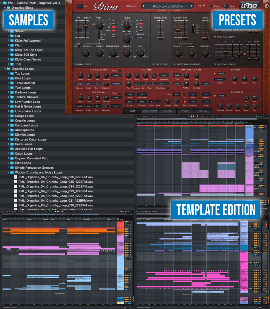 Screen shots of ableton project files, loops, samples