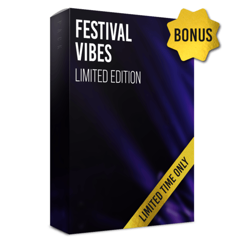 Festival Vibes