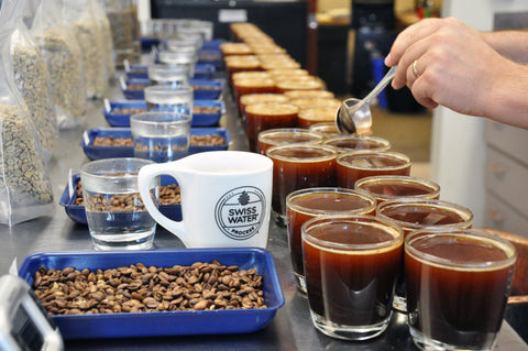 Swiss Water Process coffee cupping