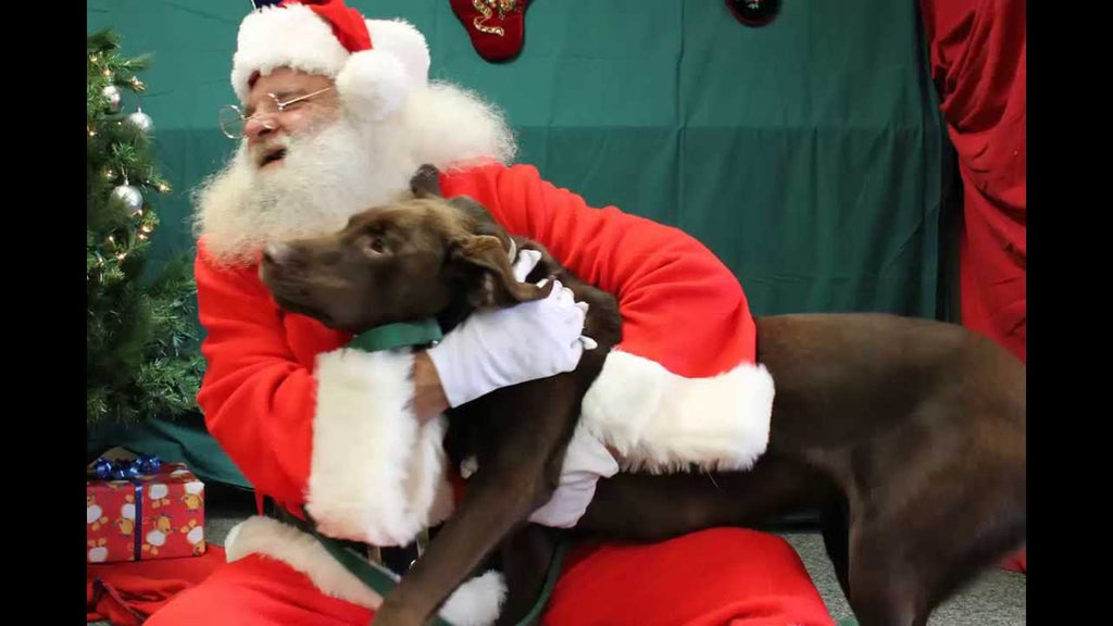 where can my dog take a picture with santa