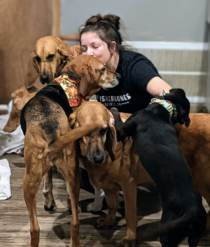 Hound Cuddle Pile