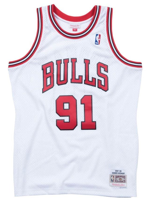 Dennis Rodman Chicago Bulls Autographed Black and Red Pinstripe Mitchell &  Ness Replica Jersey