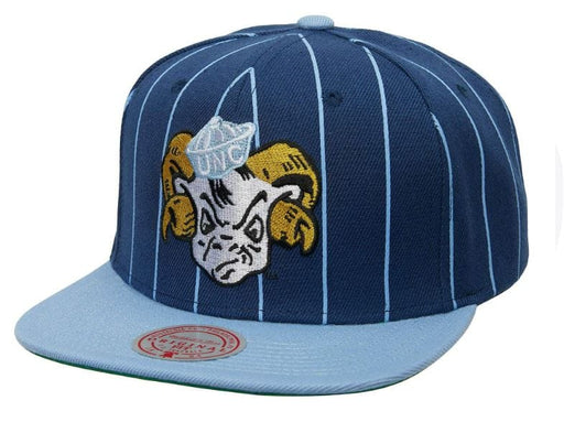 Mitchell & Ness Royal Florida Gators Team Pinstripe Snapback Hat