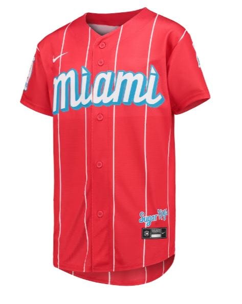 Mitchell and Ness Andre Dawson Marlins Baseball Jersey Aqua