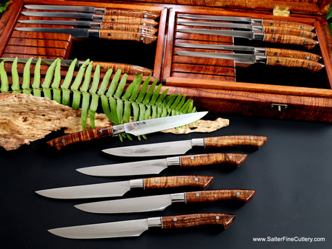 https://cdn.shopify.com/s/files/1/0993/8330/files/16-pc_steak_knife_set_clad_Classic_series_with_open_presentation_box_by_Salter_Fine_Cutlery_480x480.jpg?v=1682468621
