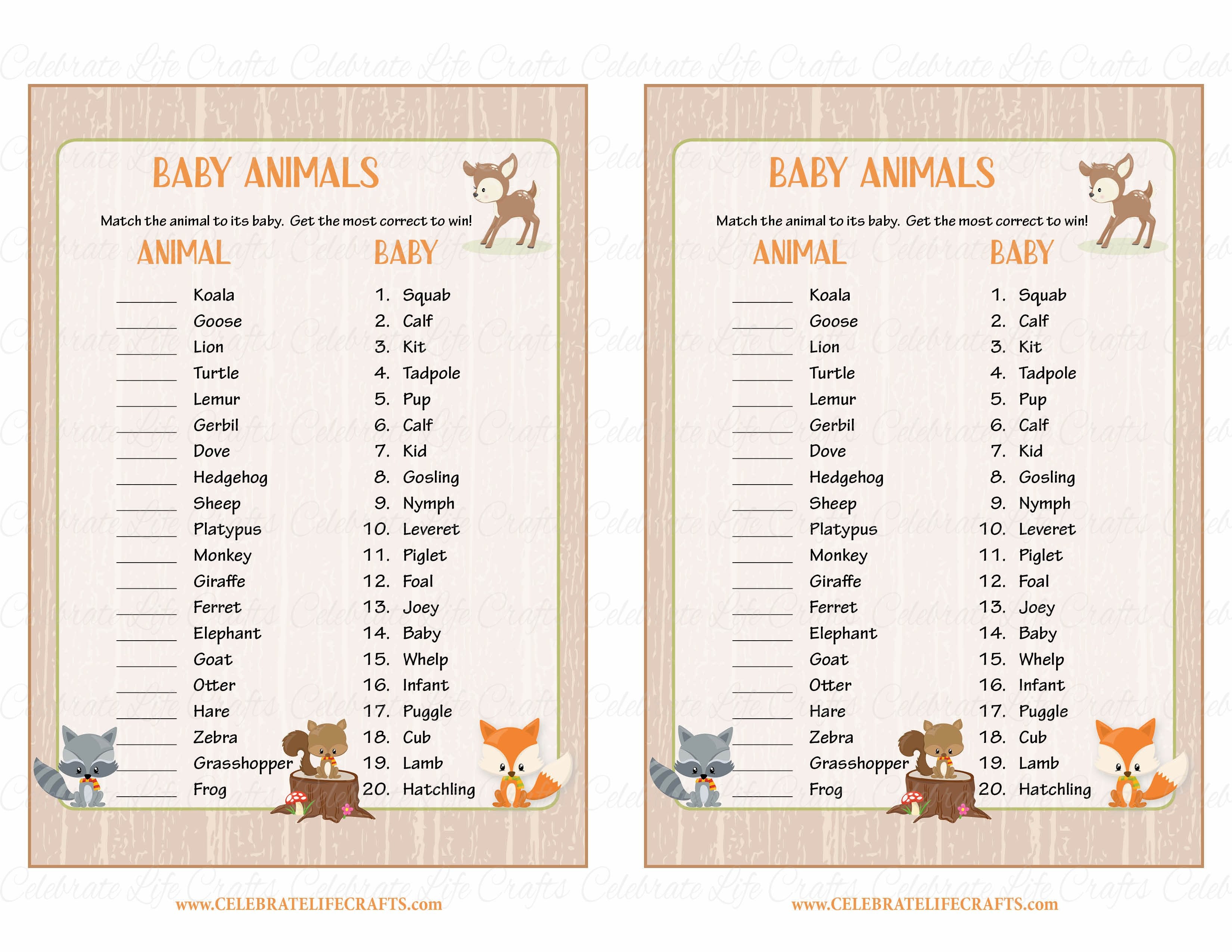 baby animal match up answer key