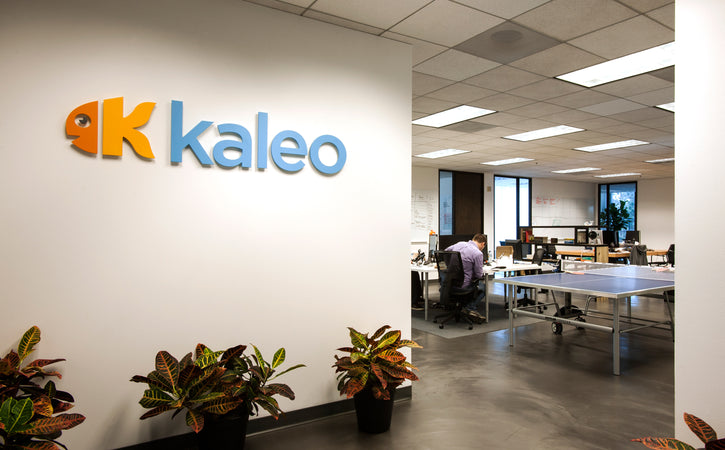 KALEO SOFTWARE