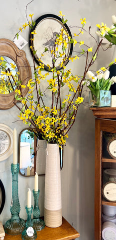 Forsythia in tall vase