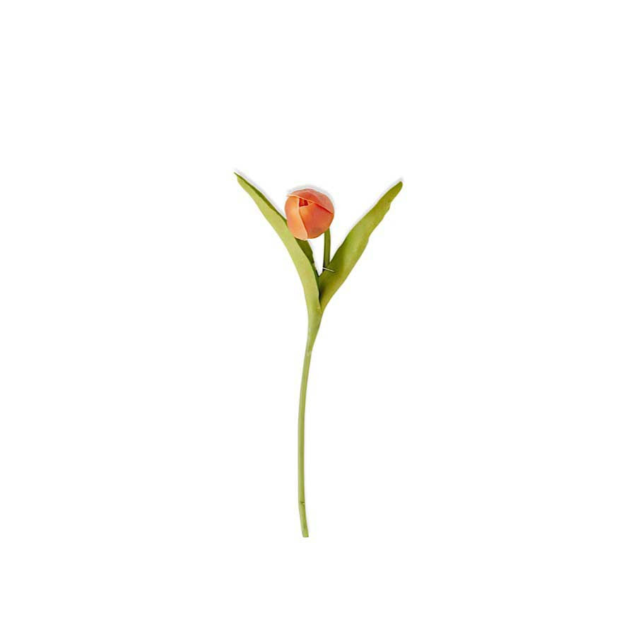 Orange Mini Tulip – The Wreath Stand
