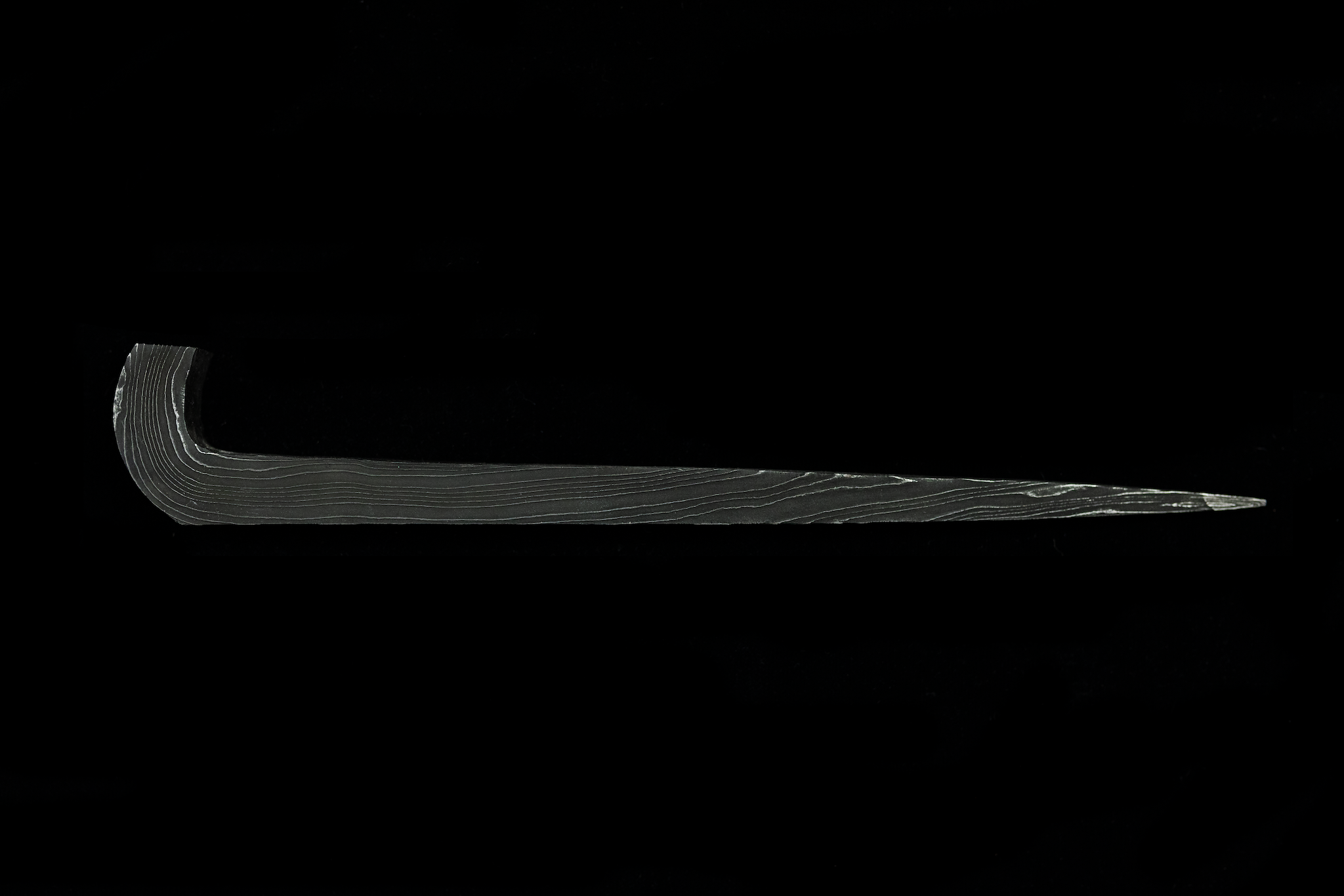 2S4A2941