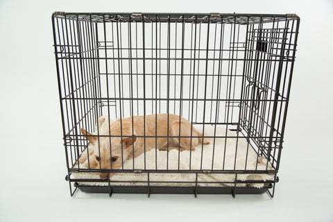 Buying a Dog Crate