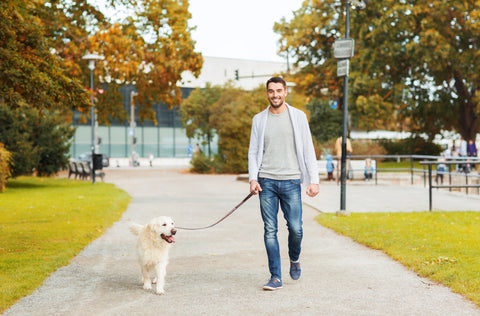 Dog leash types