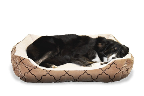 Big Shrimpy dog beds