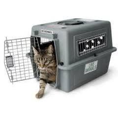 cat kennel for air travel