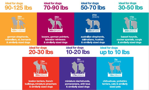 Petmate Kennel Size Chart