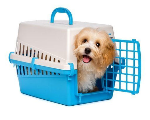 Ultimate Guide to Dog crates 2018