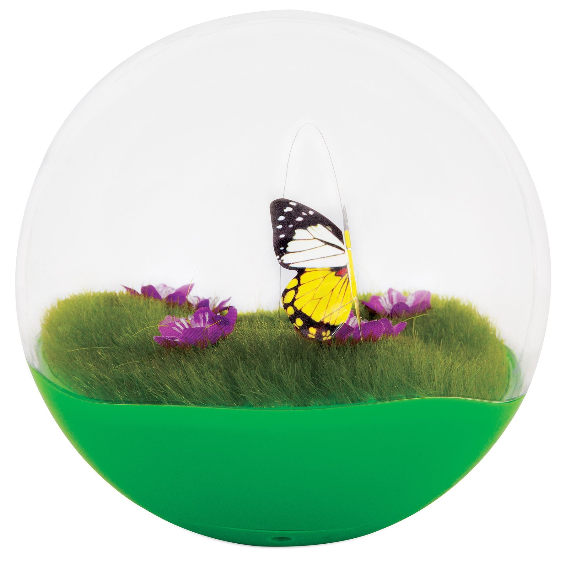 jackson galaxy butterfly ball