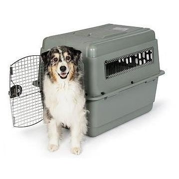 large dog travel kennel