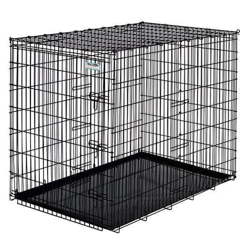 colossal dog crate