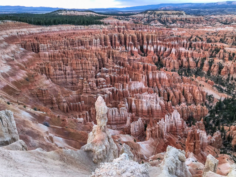 Marvel at the hoodoos in Bryce Canyon National Park!
