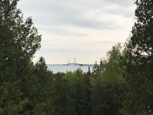 The view of Mackinac Bridge from Straits State Park.