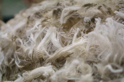 what is merino wool