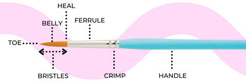 Parts of a paint brush