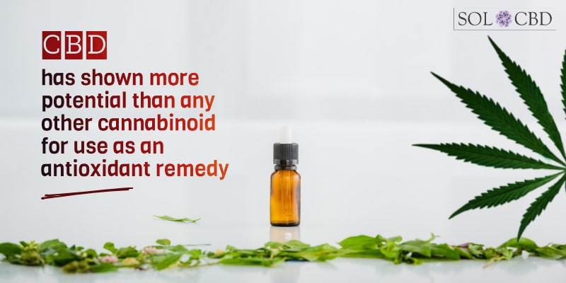 CBD has shown more potential than any other cannabinoid for use as an antioxidant remedy.