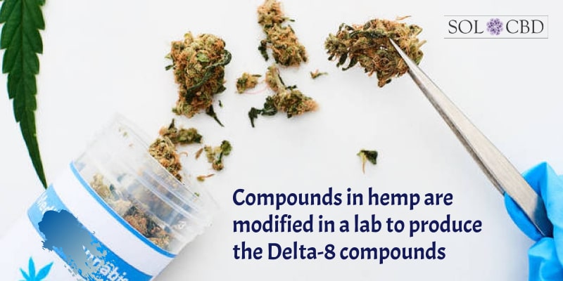 Compounds in hemp are modified in a lab to produce the Delta-8 compounds.