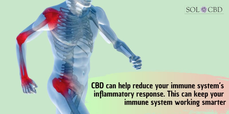 CBD can help reduce your immune system’s inflammatory response.