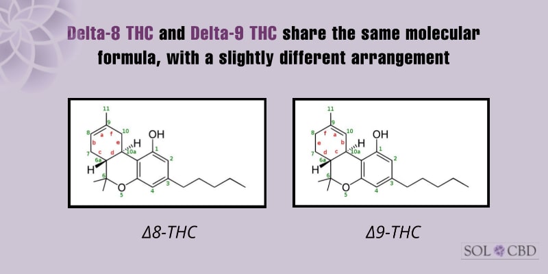 Delta-8 THC and Delta-9 THC share the same molecular formula, with a slightly different arrangement.