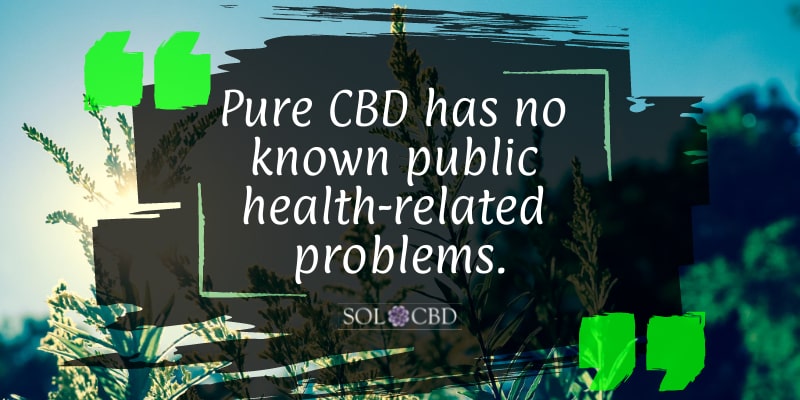 Pure CBD has no known public health-related problems.