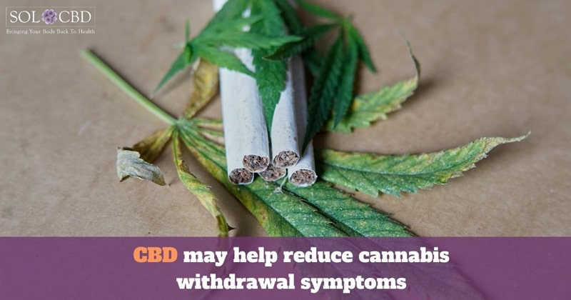 CBD may help you save money, reduce cognitive impairment, or even just take a T-break from THC.