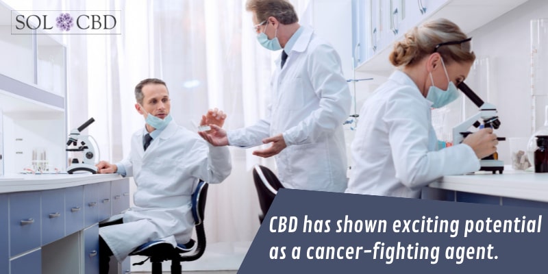 CBD has shown exciting potential as a cancer-fighting agent.