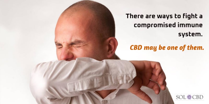 There are ways to fight a compromised immune system. CBD may be one of them.