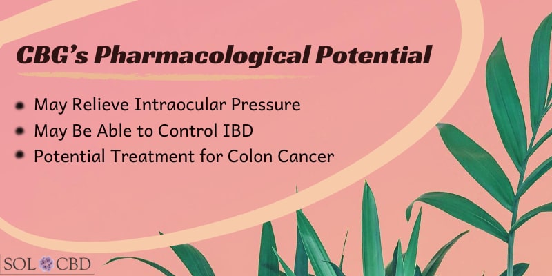 CBG’s Pharmacological Potential