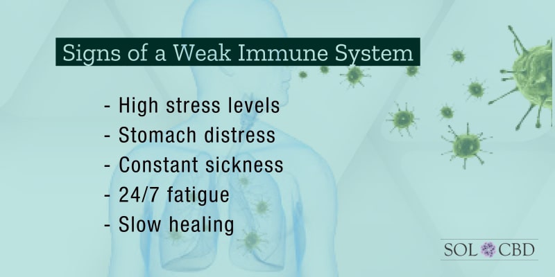 Signs of a Weak Immune System