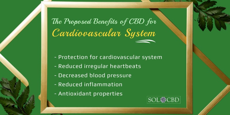 Proposed Benefits of CBD for the Cardiovascular System
